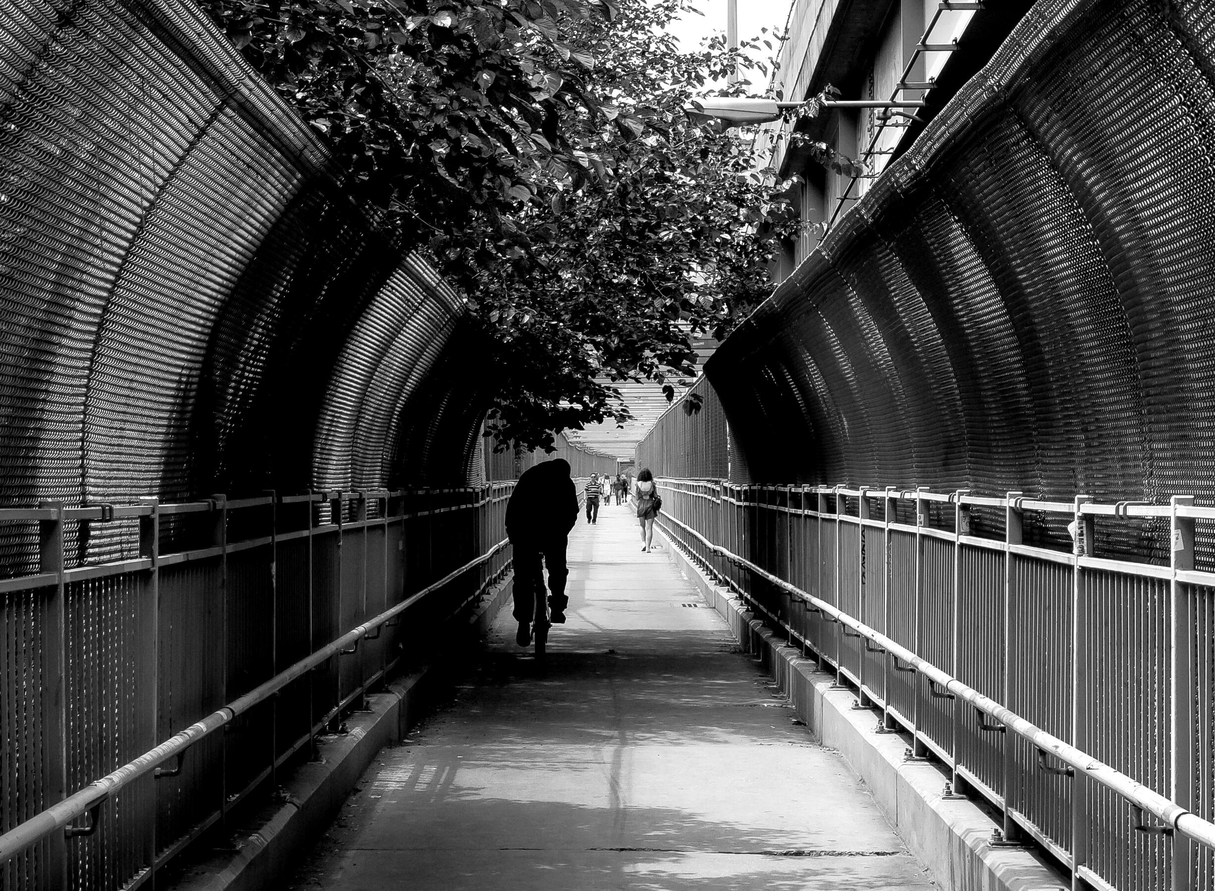 Moment in New York // 13 - Goku